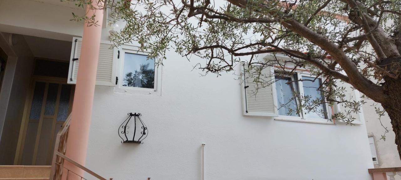 Olive Tree Daire Zadar Dış mekan fotoğraf